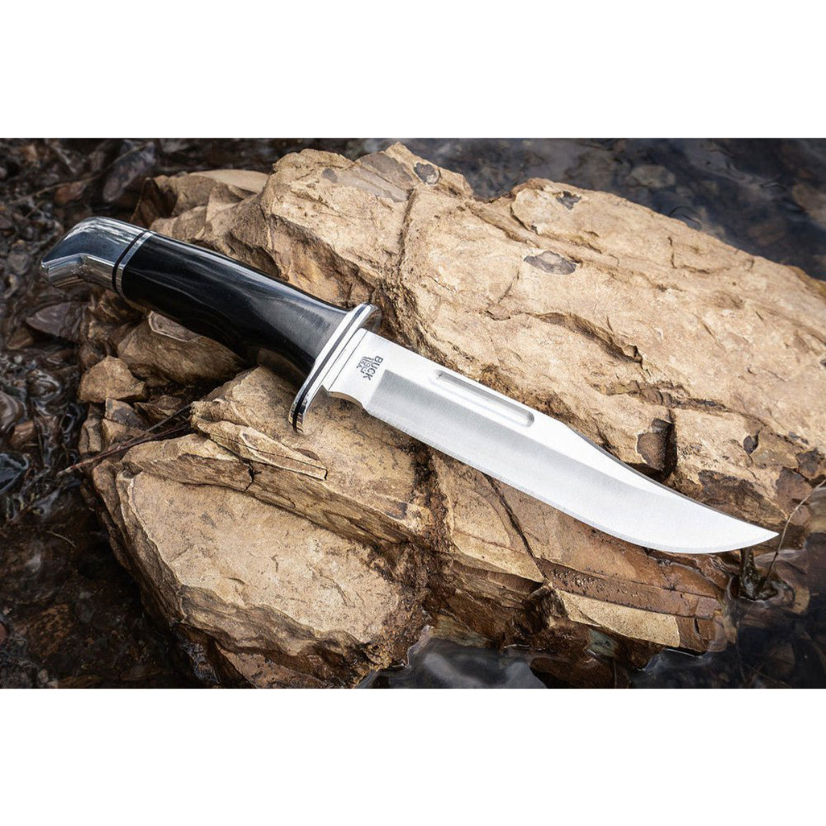 Buck 119 Special Knife