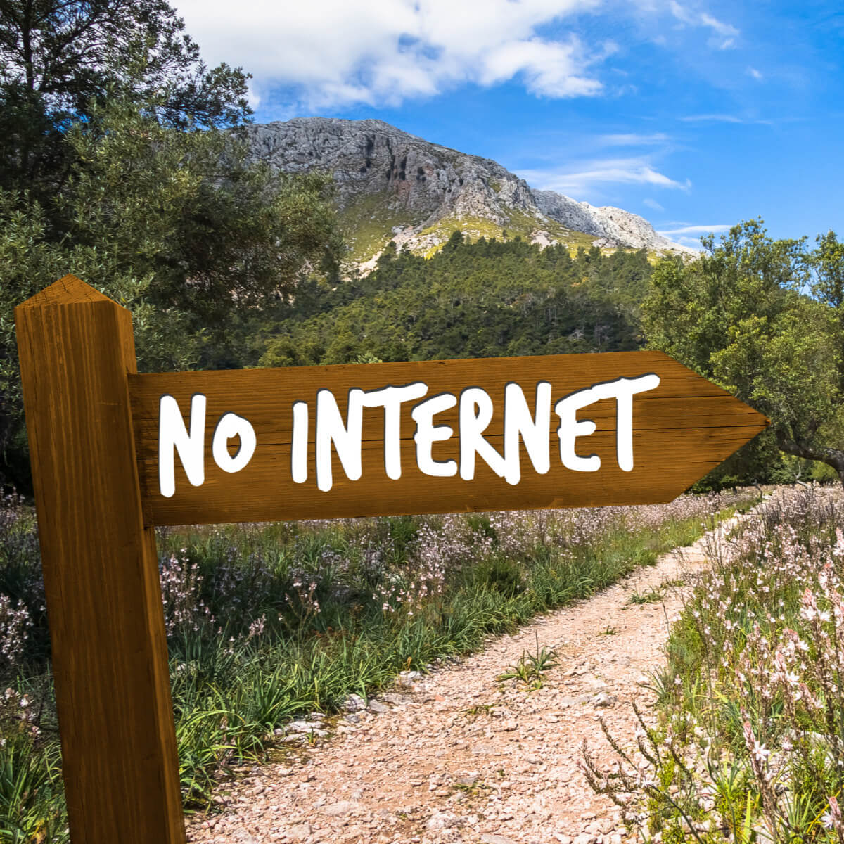 Go camping for a digital detox. Around camp cooking