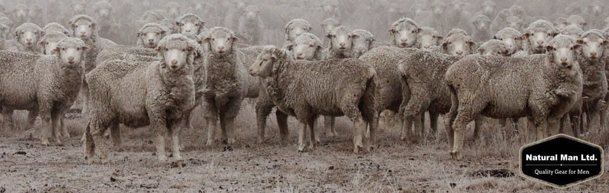 So what's all the fuss about Merino?
