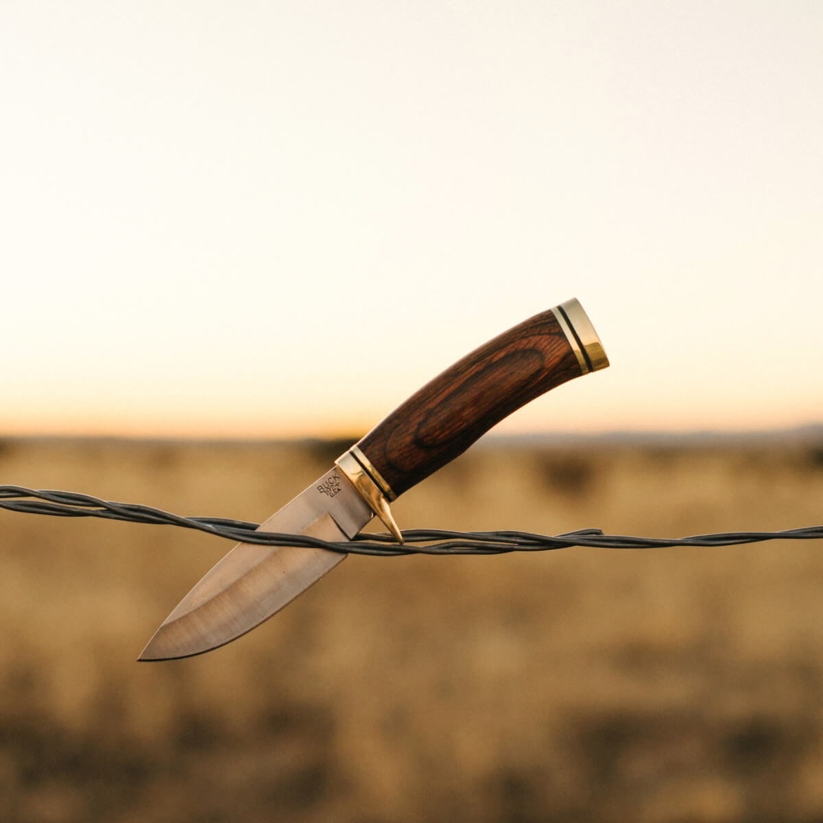 A fixed-blade knife with a dark wood handle and brass accents rests on a strand of barbed wire against a blurred outdoor field at sunset.