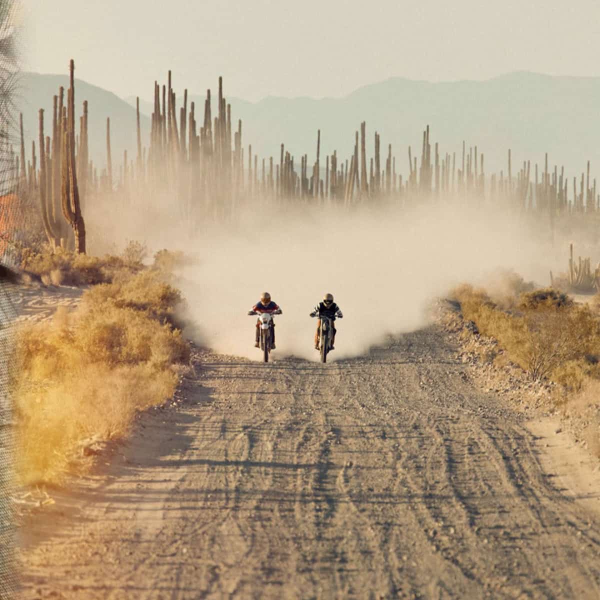 Two people riding dirt bikes on a dusty road with cacti and mountains in the background.