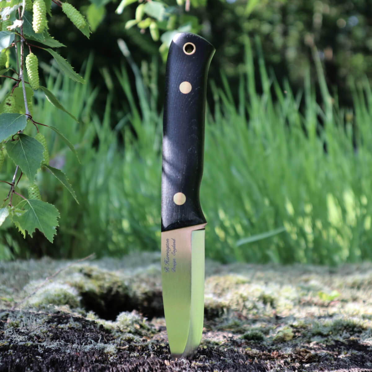 Casstrom Woodsman Knife - Bog Oak