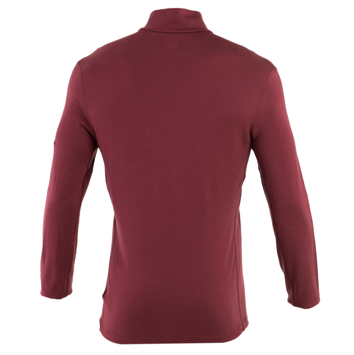Icebreaker tech top long sleeve half zip top