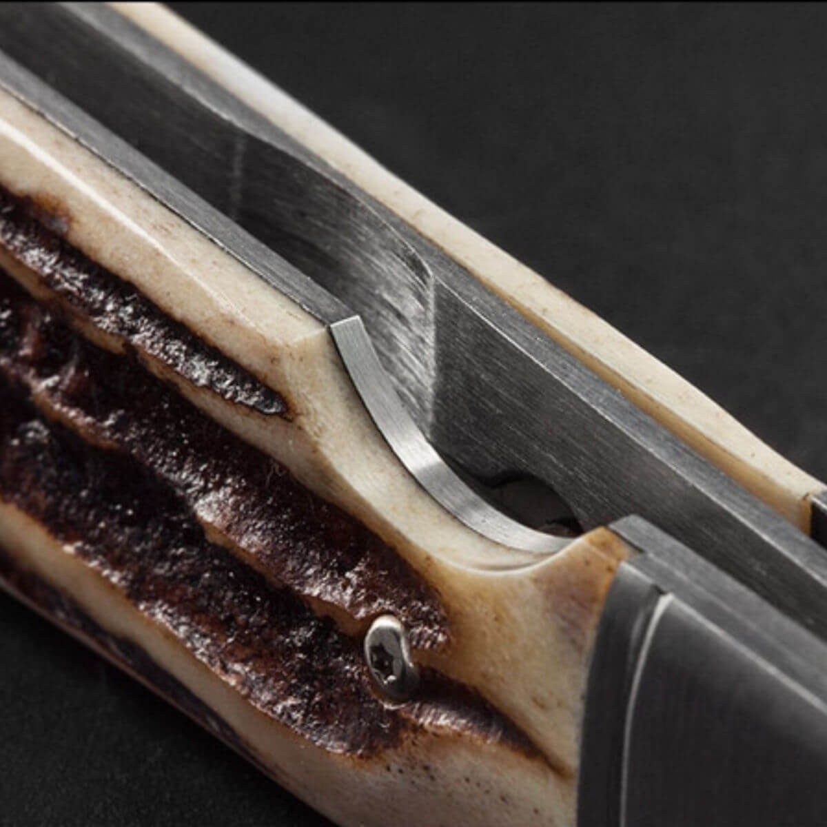 Fallkniven GPs Gentleman&#39;s Folding Knife Stag
