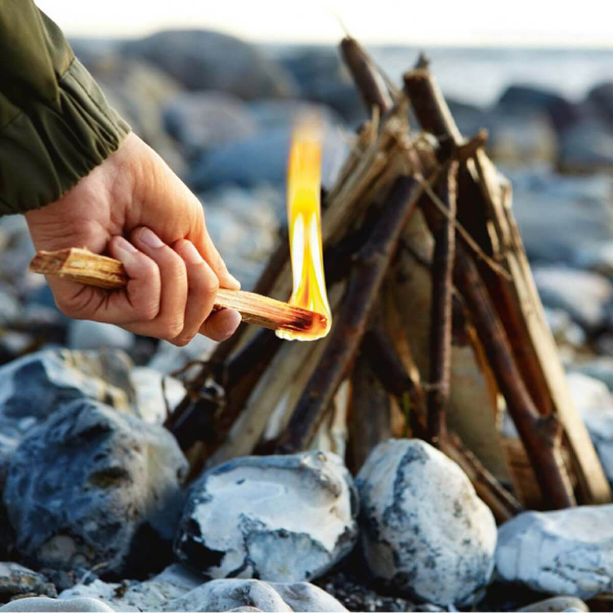 Fat Wood Tinder Sticks Natural Fire Lighters