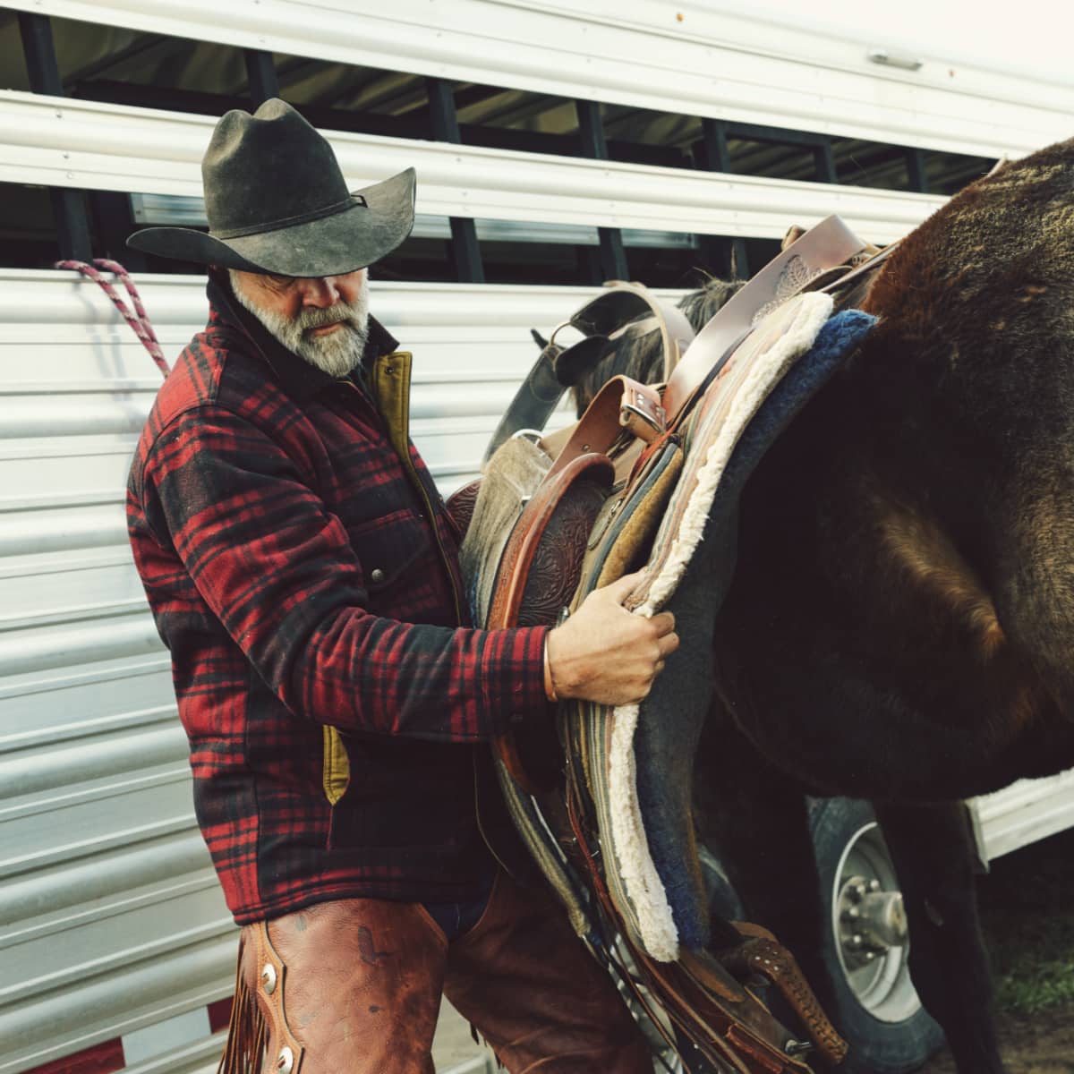 A man in a cowboy hat and red-and-black plaid shirt loads a brown leather saddle onto a horse in front of a white trailer.