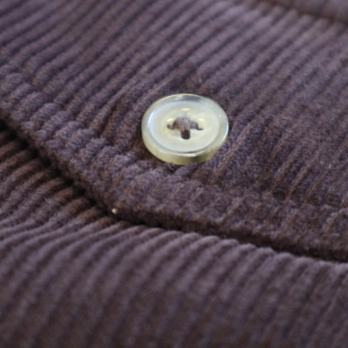 Close-up of a button on brown corduroy fabric