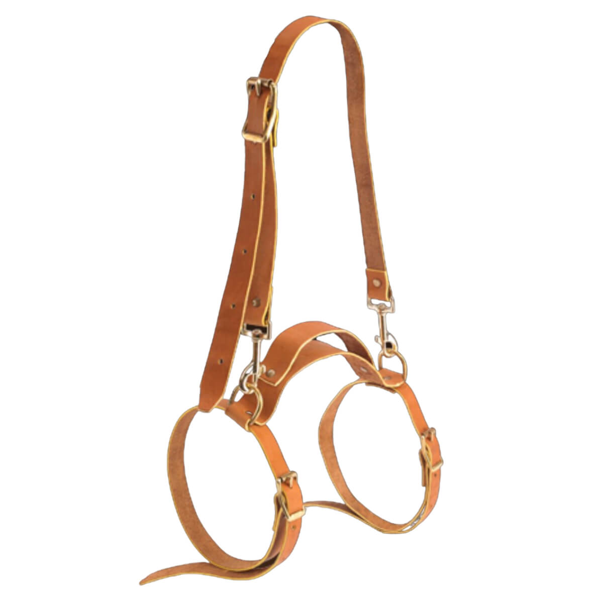 Leather blanket harness