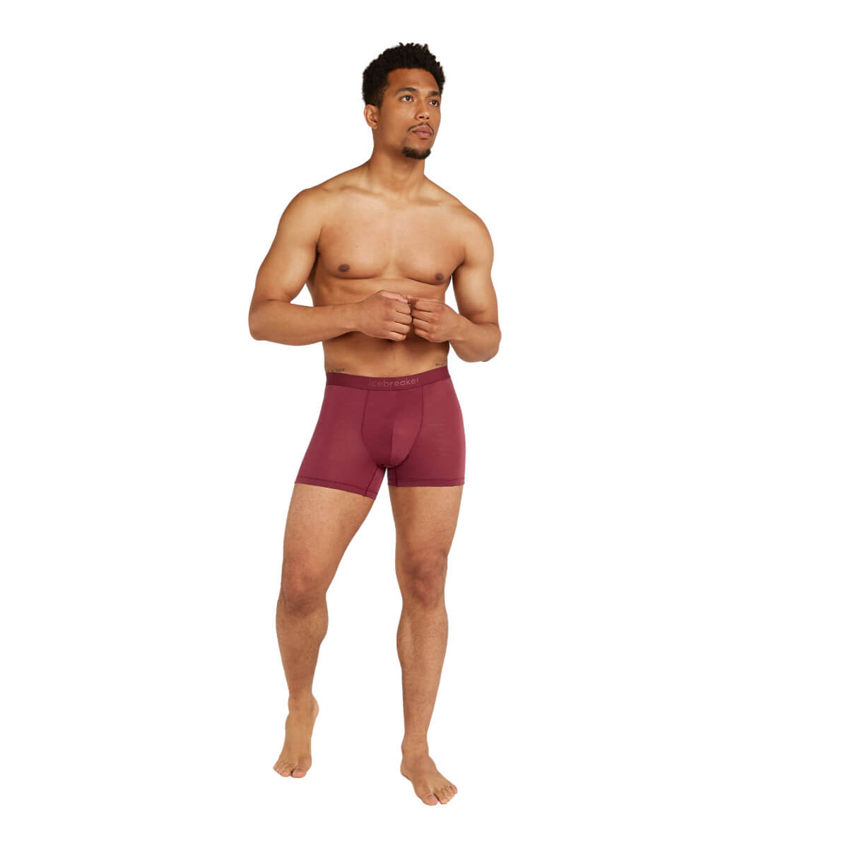 Icebreaker Men&#39;s Merino 150 Anatomica Boxers Port