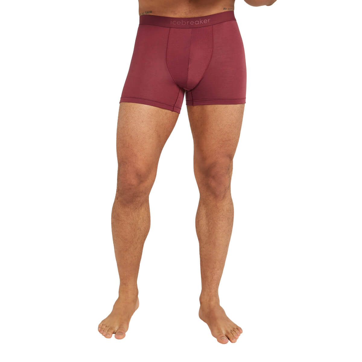 Icebreaker Men&#39;s Merino 150 Anatomica Boxers Port