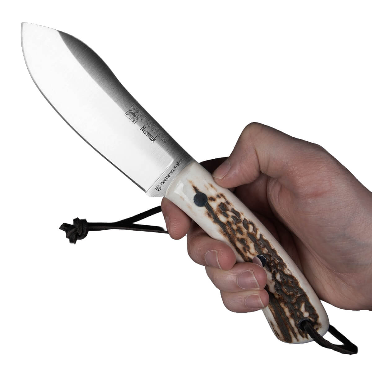 Hand holding a knife with a staghorn handle on a white background
