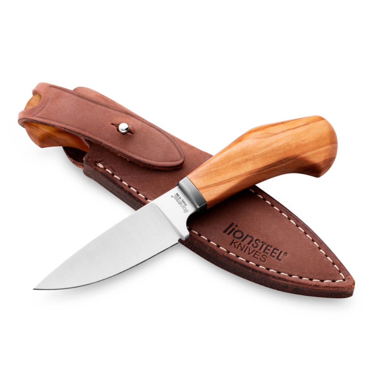 LionSteel Willy Olive Wood
