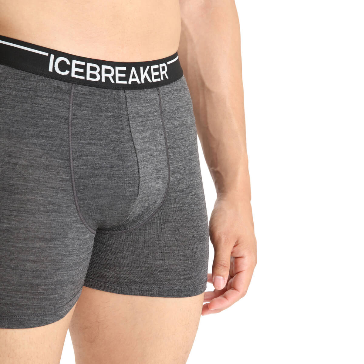 Icebreaker Anatomica Boxers - Men's - Clothing