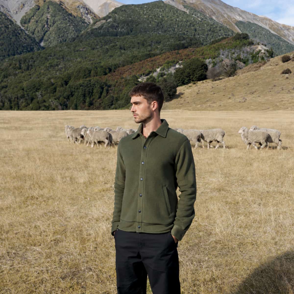 A man wearing an olive green Icebreaker merino wool shacket and dark trousers stands in a dry grassy field with sheep in the background and mountains behind him.