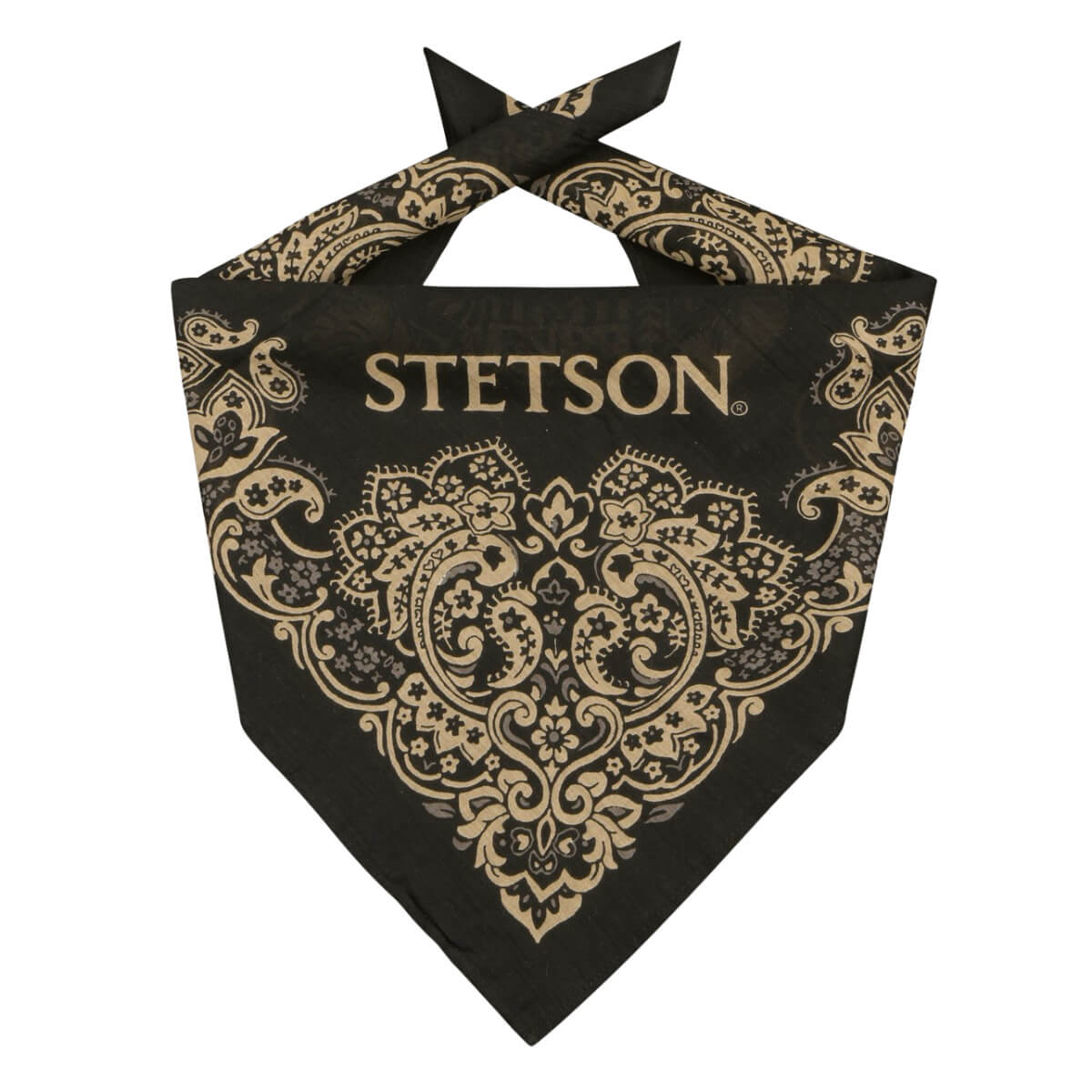 Stetson Paisley Bandana Black