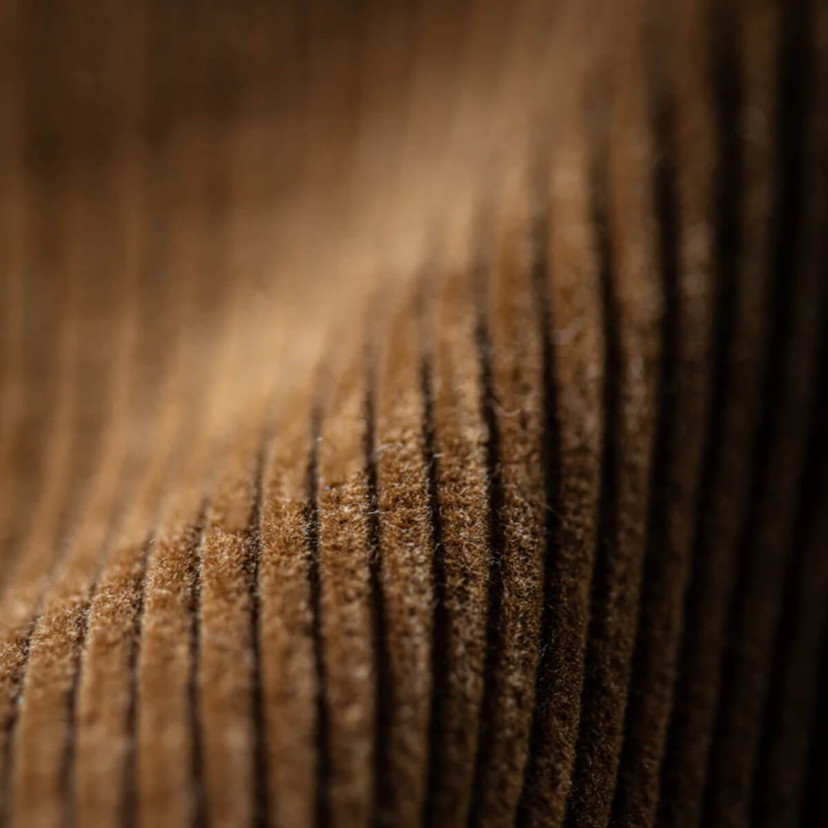 Close-up of a textured brown surface with concentric circular patterns