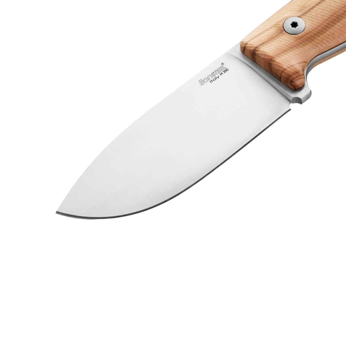 LionSteel M2M Wood