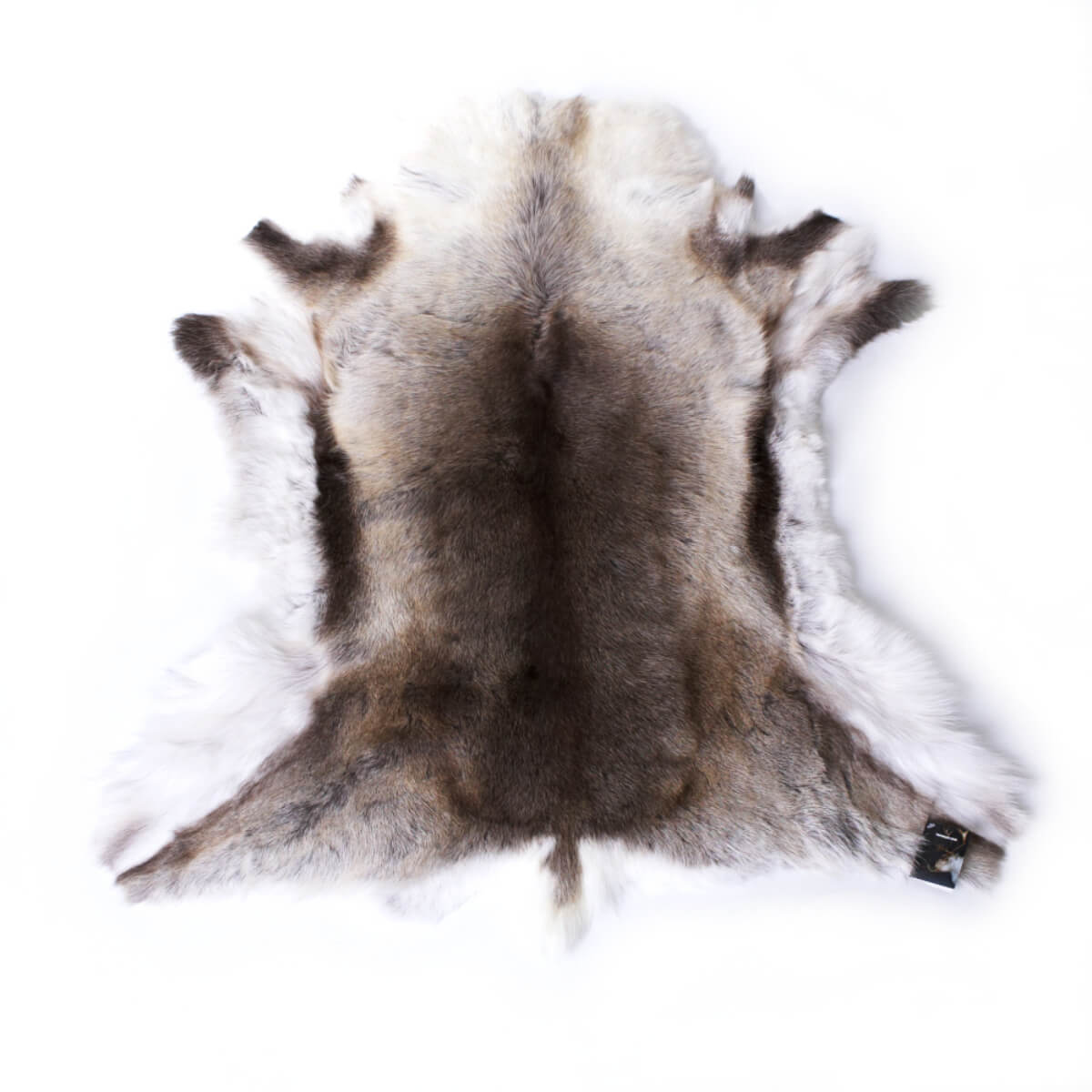 Reindeer Hide