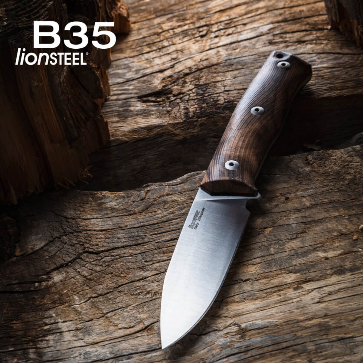 LionSteel B35 Walnut Handle Bushcraft Knife