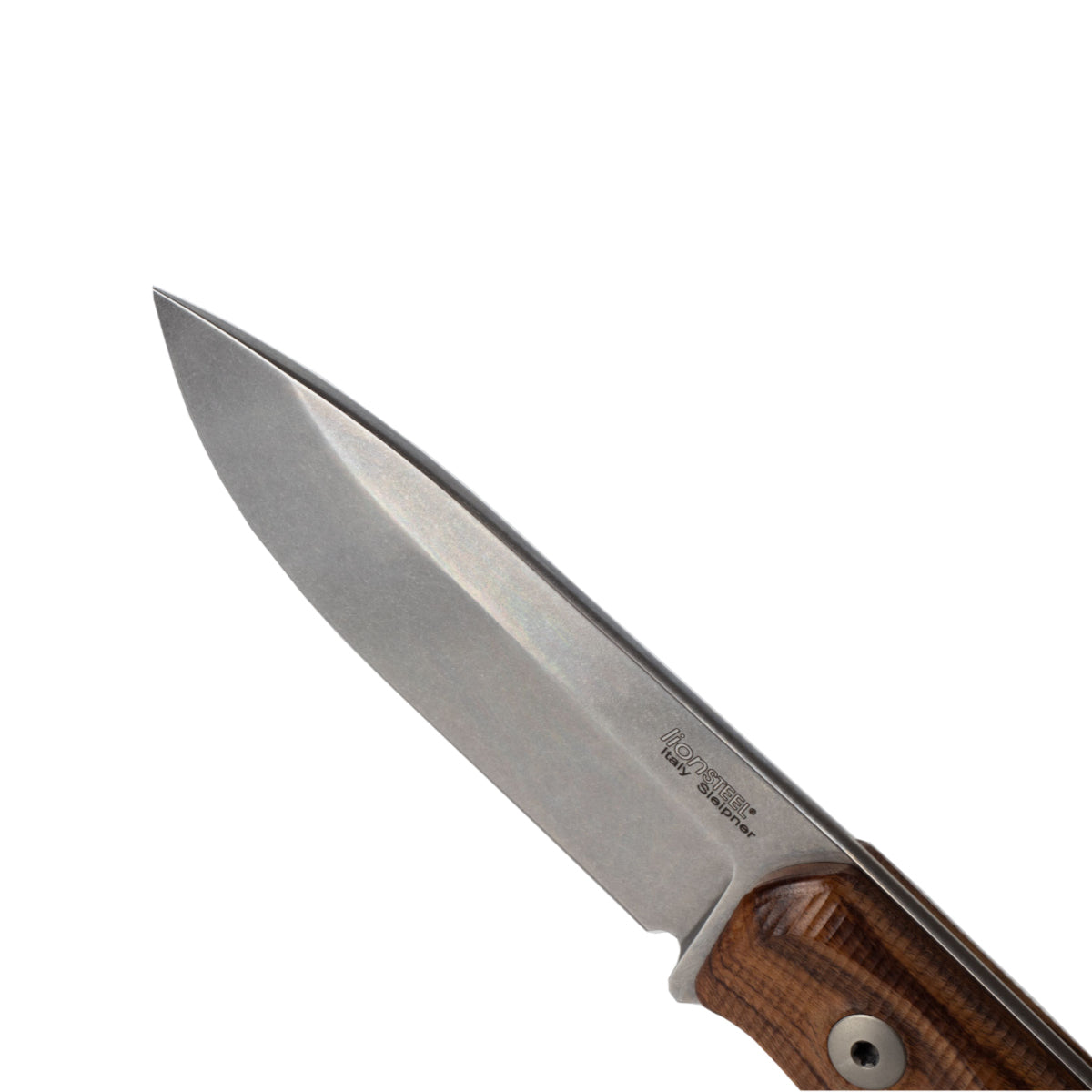 LionSteel B41 Santos Wood Bushcraft Knife